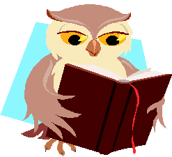 Neil Davies Associates - Wisdom & Knowledge Owl